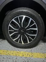 IMG_1637.jpeg